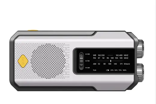 Radio Beauf — coloris Gris
